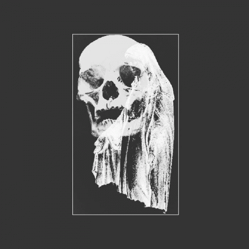 Cryptic Rising : Old Wound